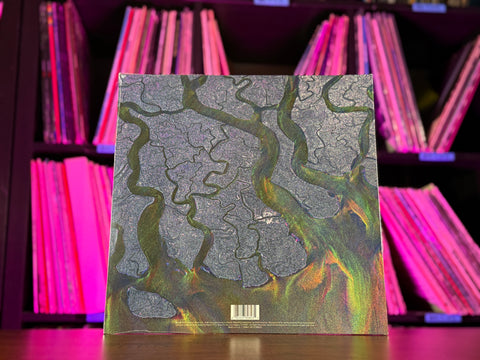 Alt-J - An Awesome Wave (Rhino SYEOR 26)