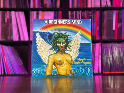 Sufjan Stevens - A Beginner's Mind