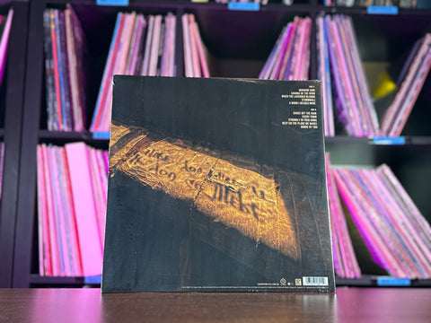 The Paper Kites - If You Go There, I Hope You Find It (Rust Vinyl)