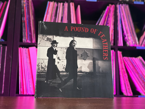 The Black Crowes - A Pound of Feathers