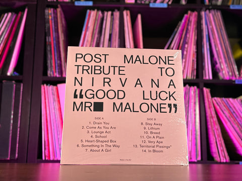 Post Malone - Tribute To Nirvana