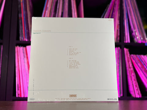 Camera Obscura - Biggest Bluest Hi-Fi
