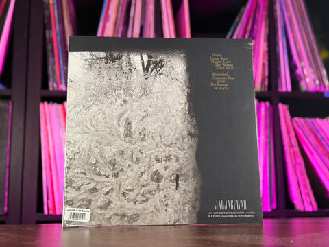 Bon Iver - For Emma, Forever Ago (Indie Exclusive Color Vinyl)