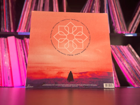 Dayseeker - Creature In the Black Night (Marbled Vinyl)