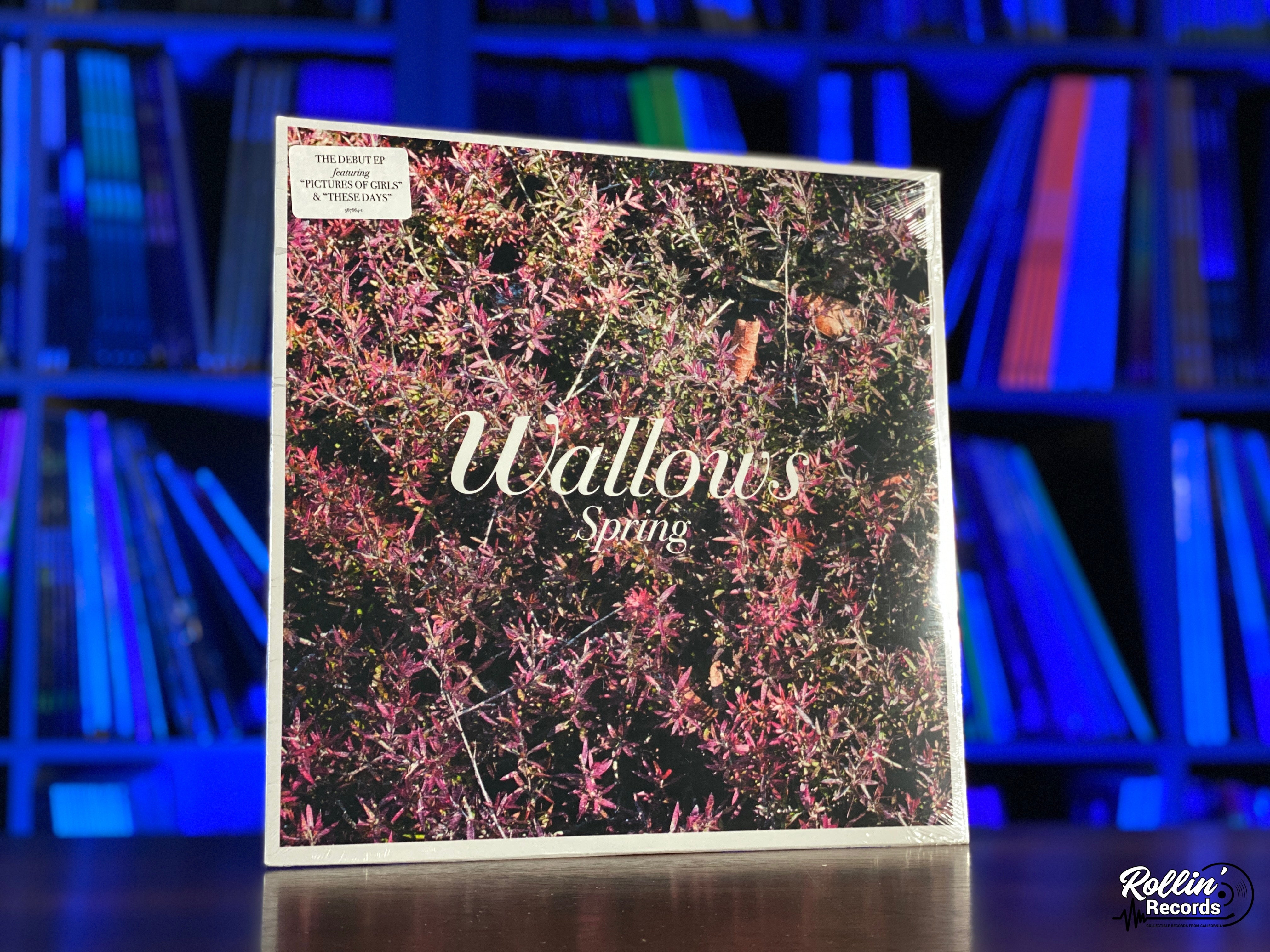 Wallows - Spring – Rollin' Records