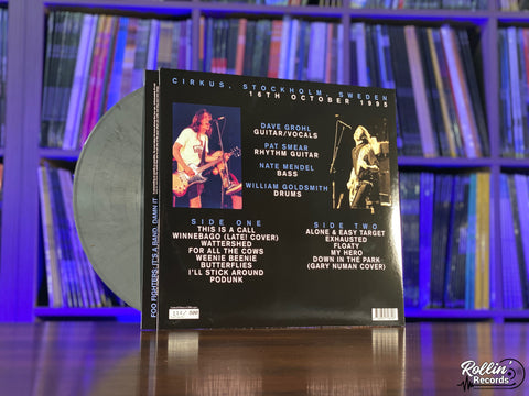 Foo Fighters - Sweden '95